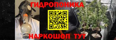 jwh Можга