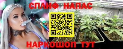 шишки Моздок