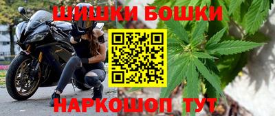шишки Моздок