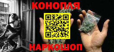 шишки Моздок